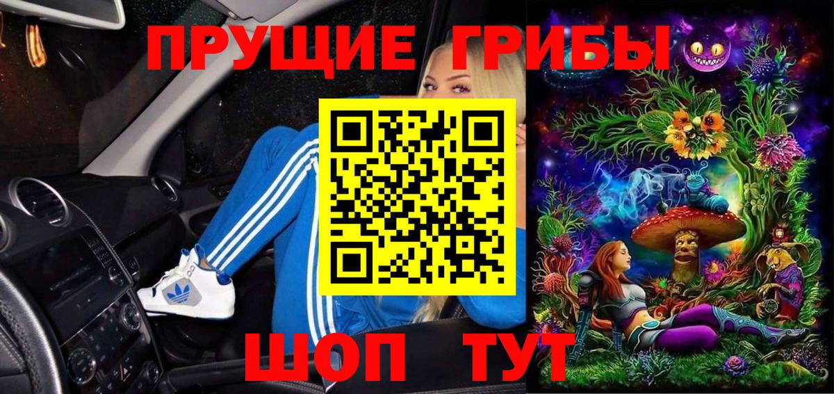 Псилоцибиновые грибы Psilocybe  что такое   Верхний Уфалей  Вход с VPN  Галлюциногенные грибы MAGIC MUSHROOMS 